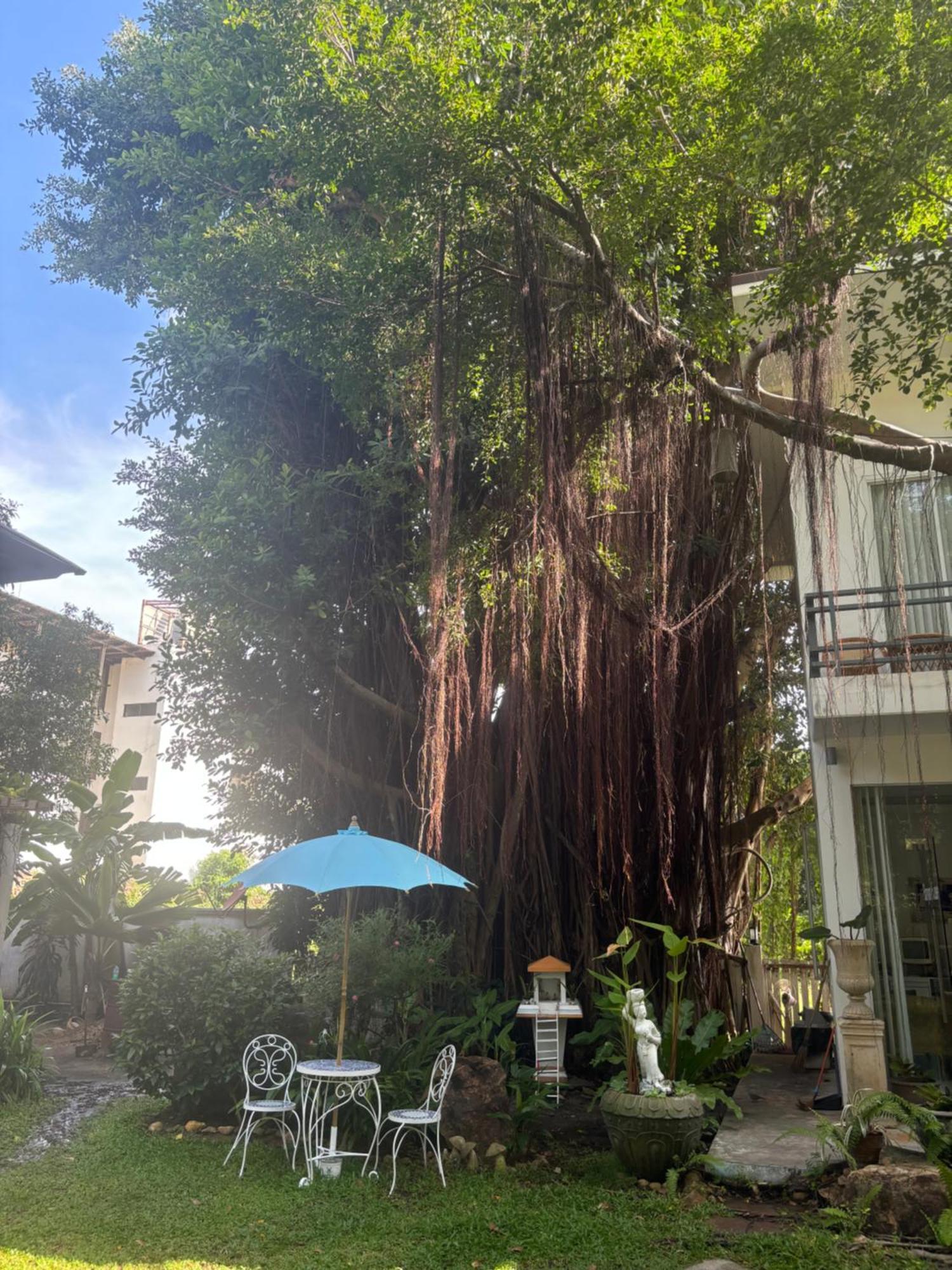 Banyan House Samui Bed And Breakfast (Adults Only) Praia Chaweng Exterior foto